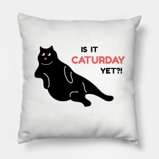 Is it Caturday Yet? Pillow