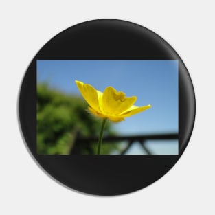 Profile Of A Buttercup Pin