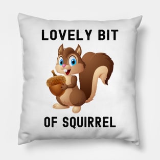 Lovely Bit of Squirrel Pillow