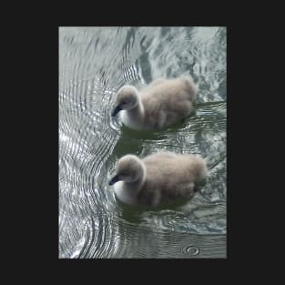 Swan chicks T-Shirt