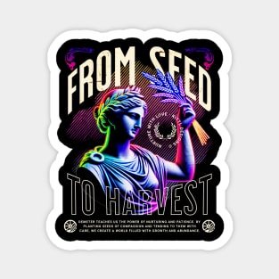 streetwear Magnet
