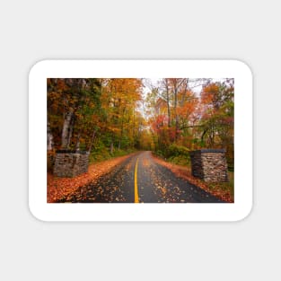 Fall Foliage Magnet