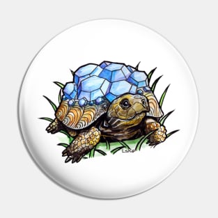 Watercolor drawing "Turtle with sapphire shell" Pin