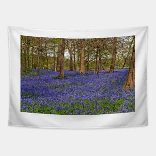 Bluebell Woods Greys Court Oxfordshire UK Tapestry