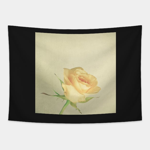 A Single Rose Tapestry by Cassia