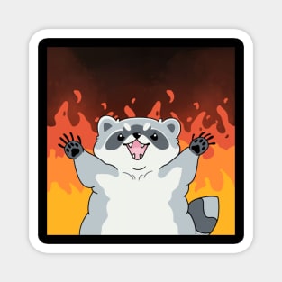 Raccoon Arson Magnet