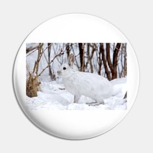 Snowshoe Hare Pin