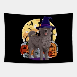 Newfoundland Dog Cute Witch Halloween Pumpkin Tapestry