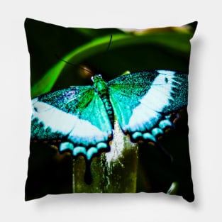 Butterfly and Flower. Pillow