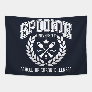 Spoonie, Invisible Disability, Chronic Illness Tapestry
