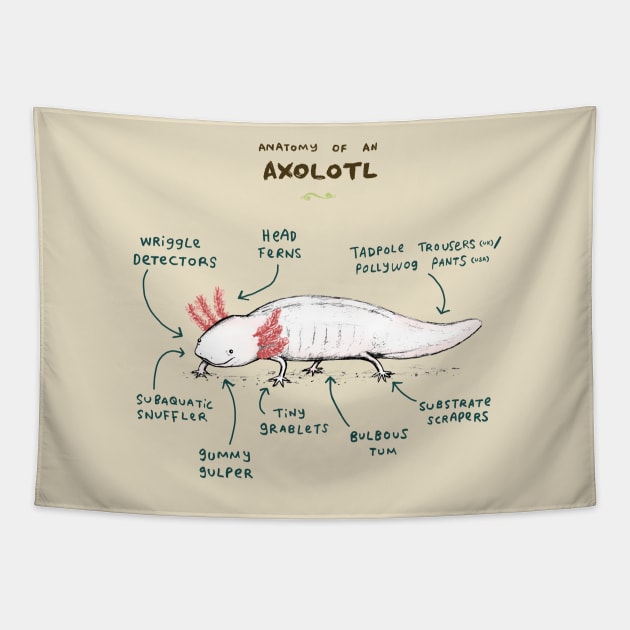 Anatomy of an Axolotl Tapestry by Sophie Corrigan