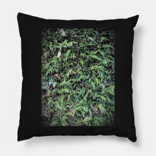 Hedge Pillow