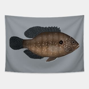 Banded Sunfish Tapestry