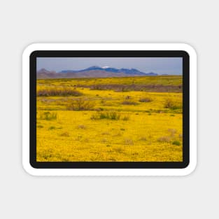 Yellow Field with wildflowers Magnet