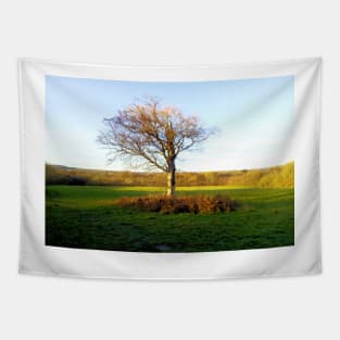 Last tree standing Tapestry