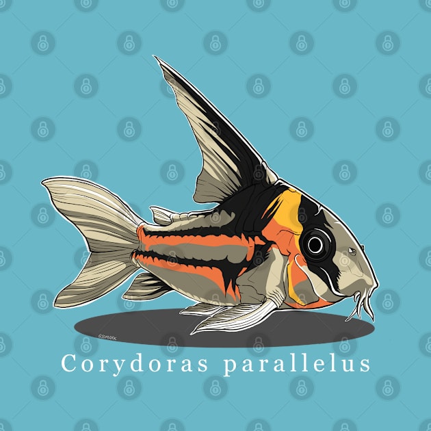 Corydoras parallelus by q10mark