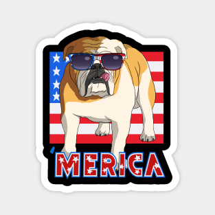 English Bulldog Merica 4th of July Magnet