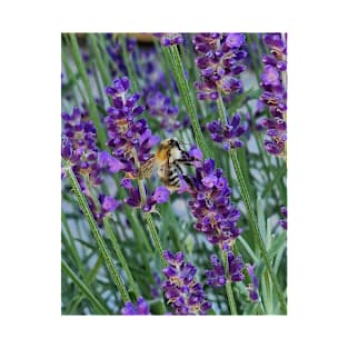 bee on lavender T-Shirt