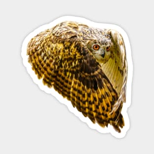European Eagle Owl Magnet