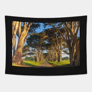 Monterey Cypresses Tapestry