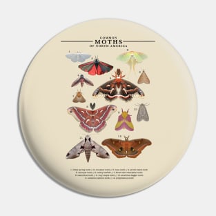 Moths of North America Pin