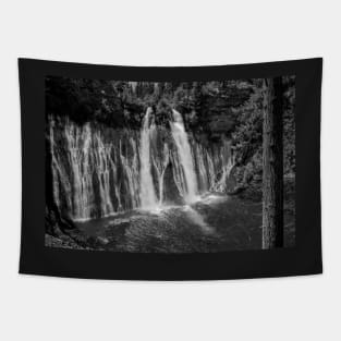 McArthur-Burney Falls in Black and White Tapestry