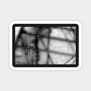 Black & White Photograph Dew Art Spider Web Spooky Halloween Photography Abstract Magnet