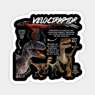 Velociraptor Fun Facts Magnet