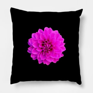 Pink Dahlia Pillow