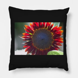 Sun Fire Pillow