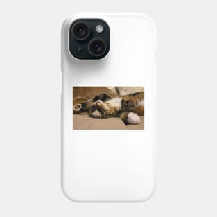 The Belly Needs Tickles I Not Resist Phone Case