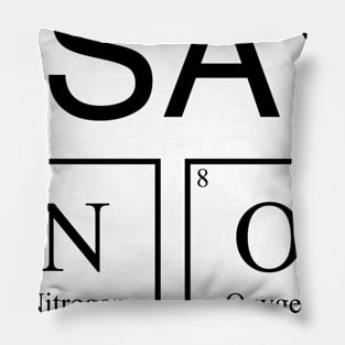 I SAY NO - Periodic Table Pillow