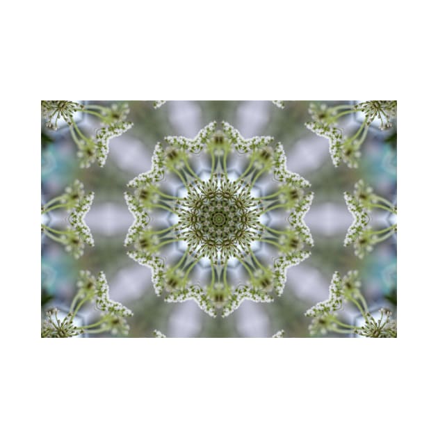 White Kaleidoscope Flower by avrilharris