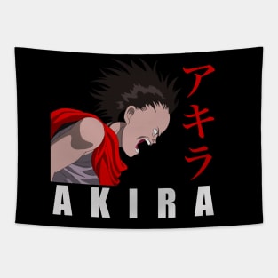 Akira Tapestry