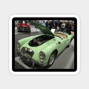 MGA in apple green Magnet