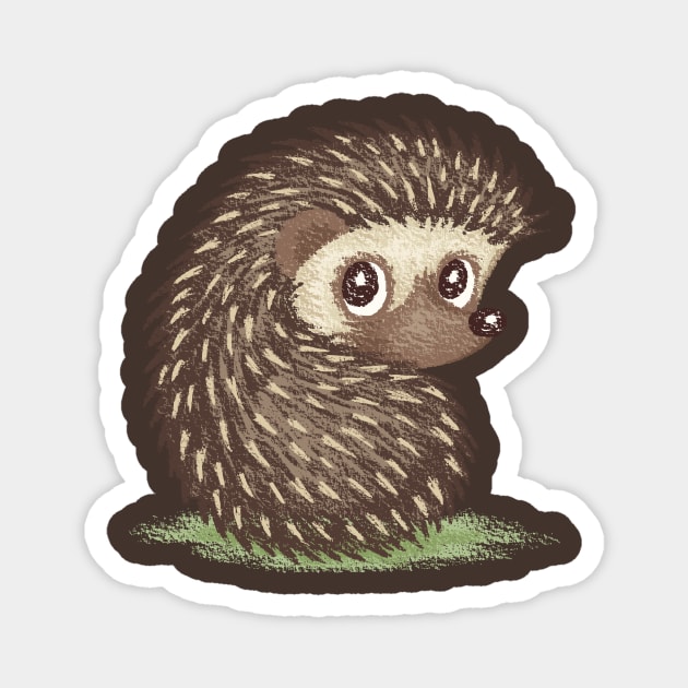 Hedgehog which looks at back Magnet by sanogawa