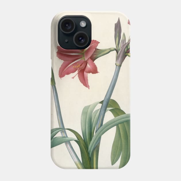 Amaryllis Brasiliensis (Brazilian Amaryllis) by Pierre-Joseph Redoute Phone Case by Classic Art Stall