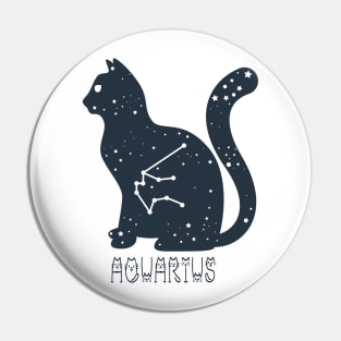 Aquarius Pin