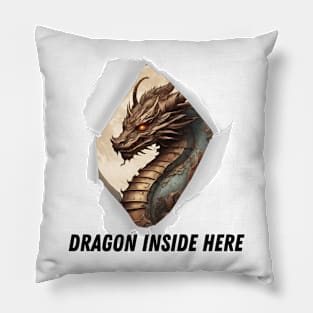 WAtch out Dragon Inside Pillow