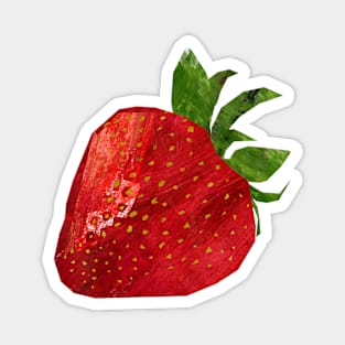 Strawberry Magnet