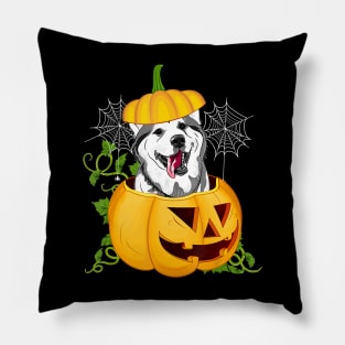 Funny Cute Pumpkin Halloween Dog Witch Pumpkin Husky Dog Pillow