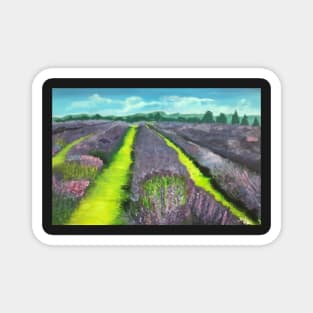 Lavender Fields Magnet