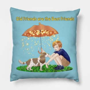 Old Friends are the Best Friends, Boy and His Dog Pillow