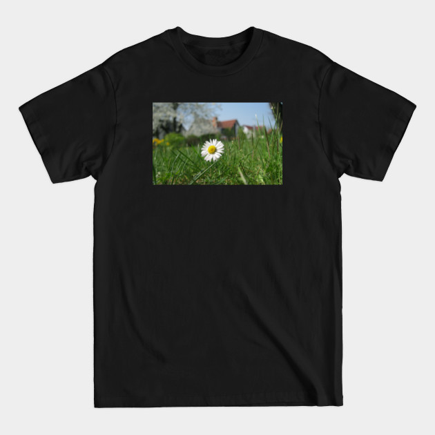 Discover Daisy Flower Closeup - Daisy Flower - T-Shirt