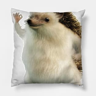 I really really like this image Pillow