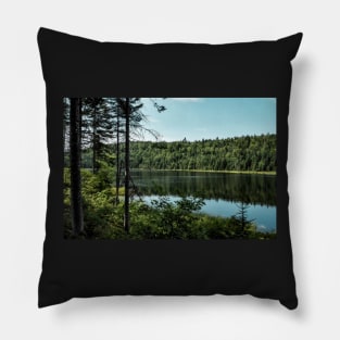 Forest lake Pillow