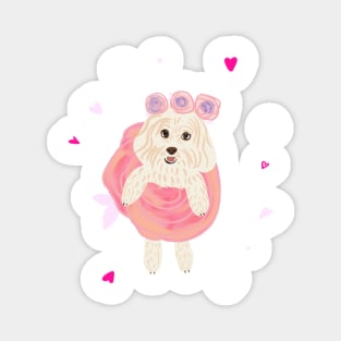 Rose Dress Cute Maltipoo Dog Magnet