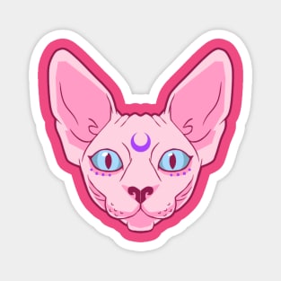 Sphynx Magnet