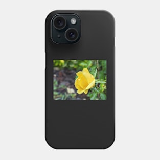 Yellow Rose 2 Phone Case