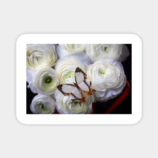 Exotic White Butterfly On With Ranunculus Flowers Magnet